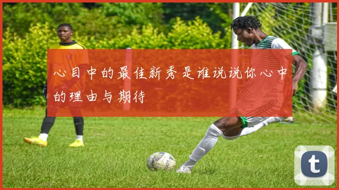 心目中的最佳新秀是谁说说你心中的理由与期待